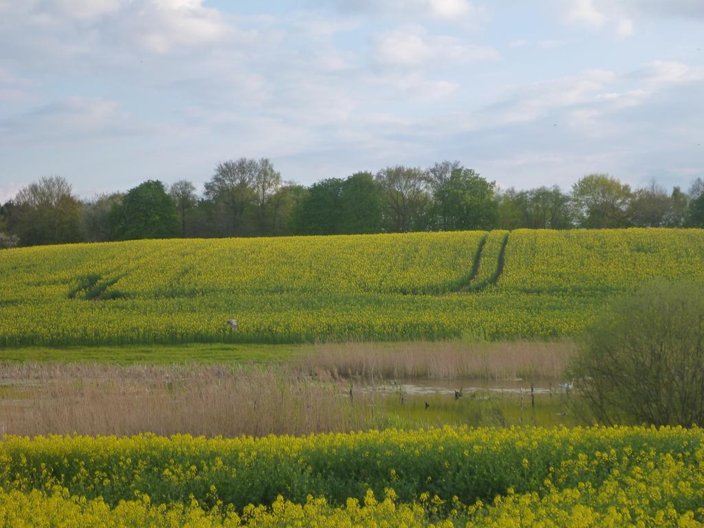 Das Haus Am Teich Gross Grabow 外观 照片